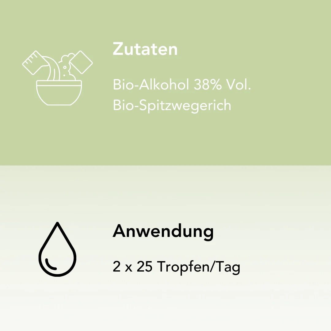 BIO-Spitzwegerich Tinktur - Chrambl