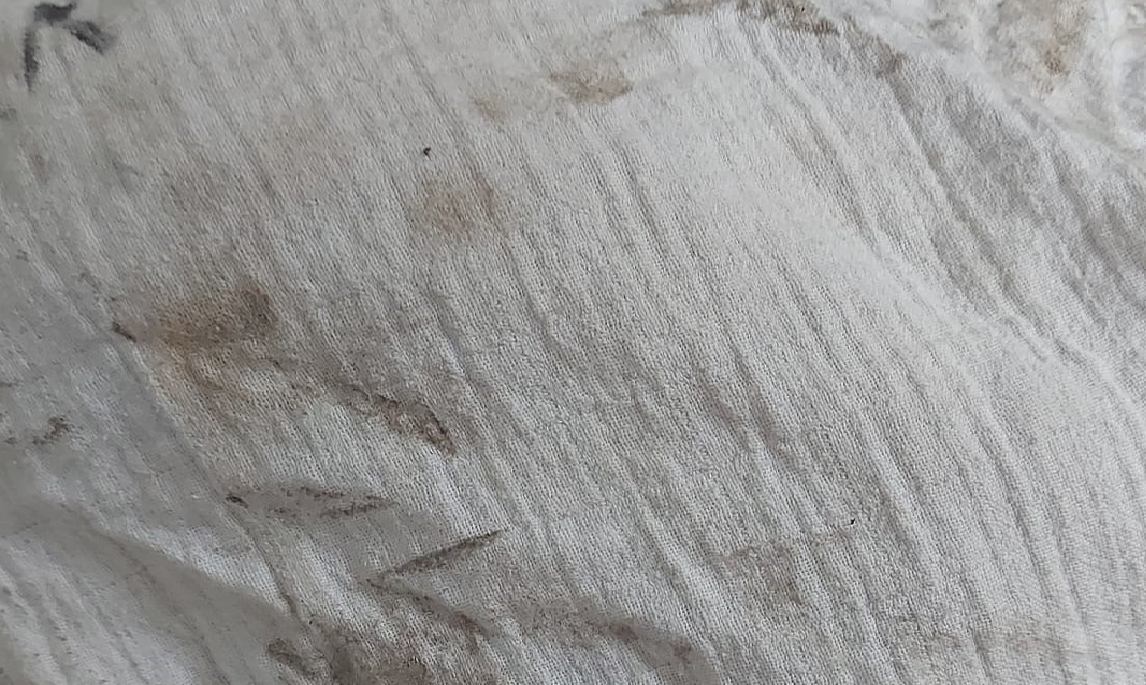 Fleckenentfernung mit Chrambl
