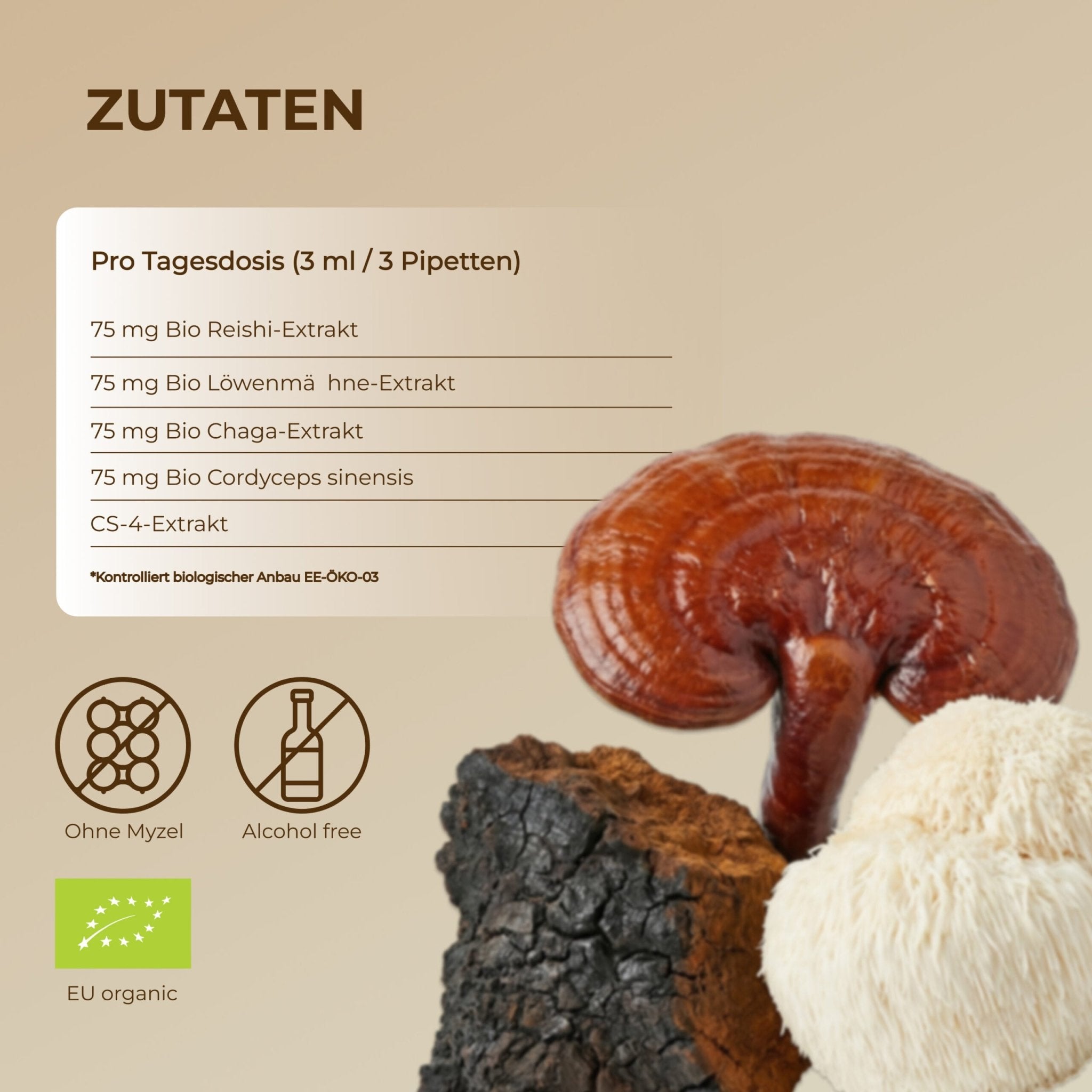 Bio Pilz-komplex Flüssigextrakt 100 ml - Chrambl