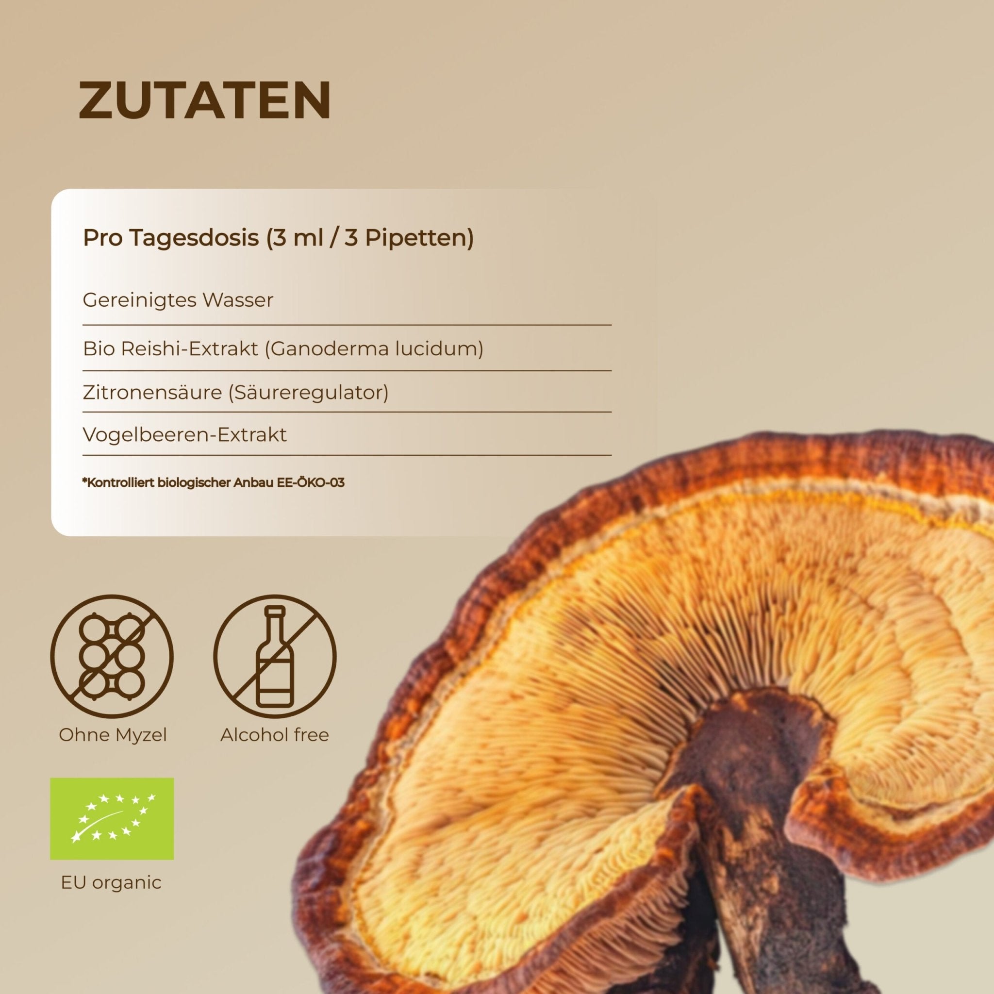 Bio Reishi Flüssigextrakt 100 ml - Chrambl