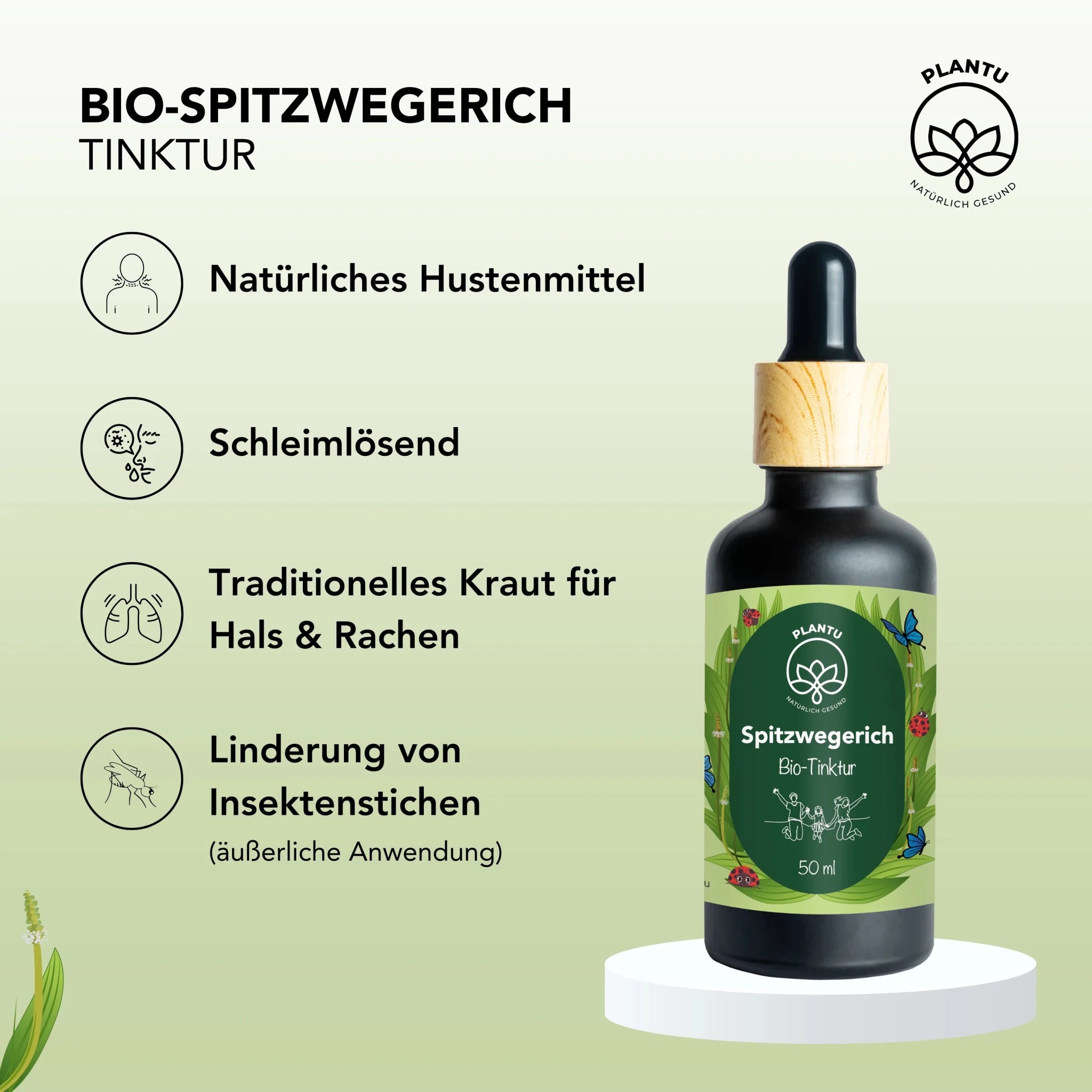 BIO-Spitzwegerich Tinktur - Chrambl